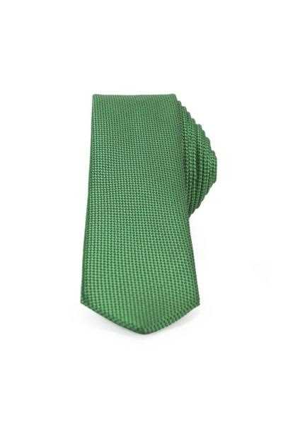 فروش کراوات مردانه جدید شیک Tudors رنگ سبز کد ty4059502