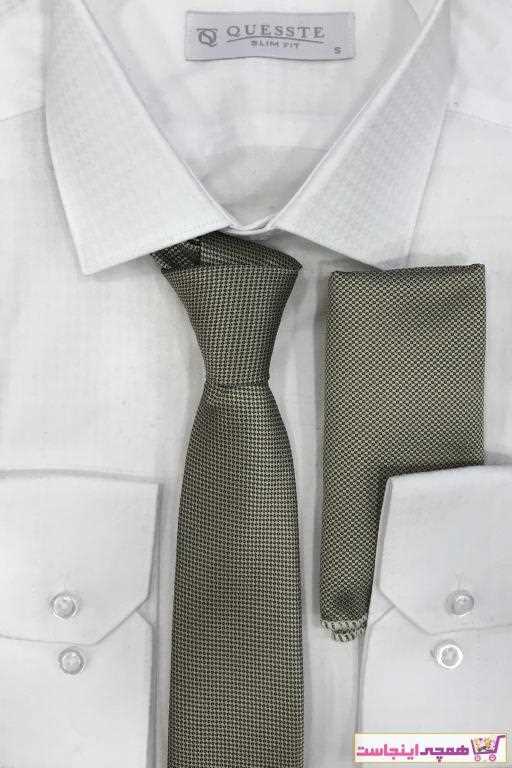 کراوات مارک برند Quesste Accessory رنگ نقره ای کد ty43239430
