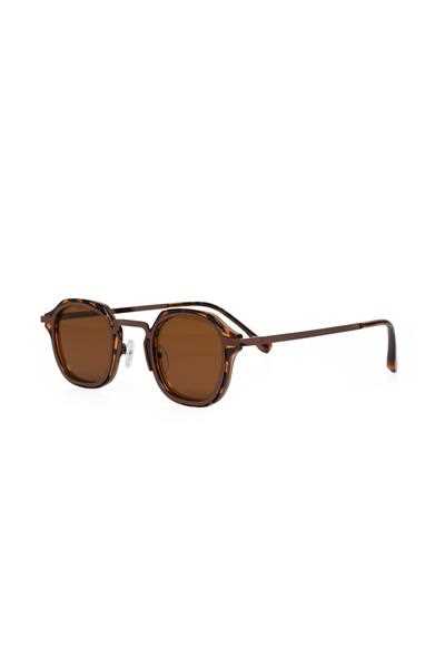 خرید مستقیم عینک آفتابی زنانه مارک RAY CARTER رنگ قهوه ای کد ty261811765