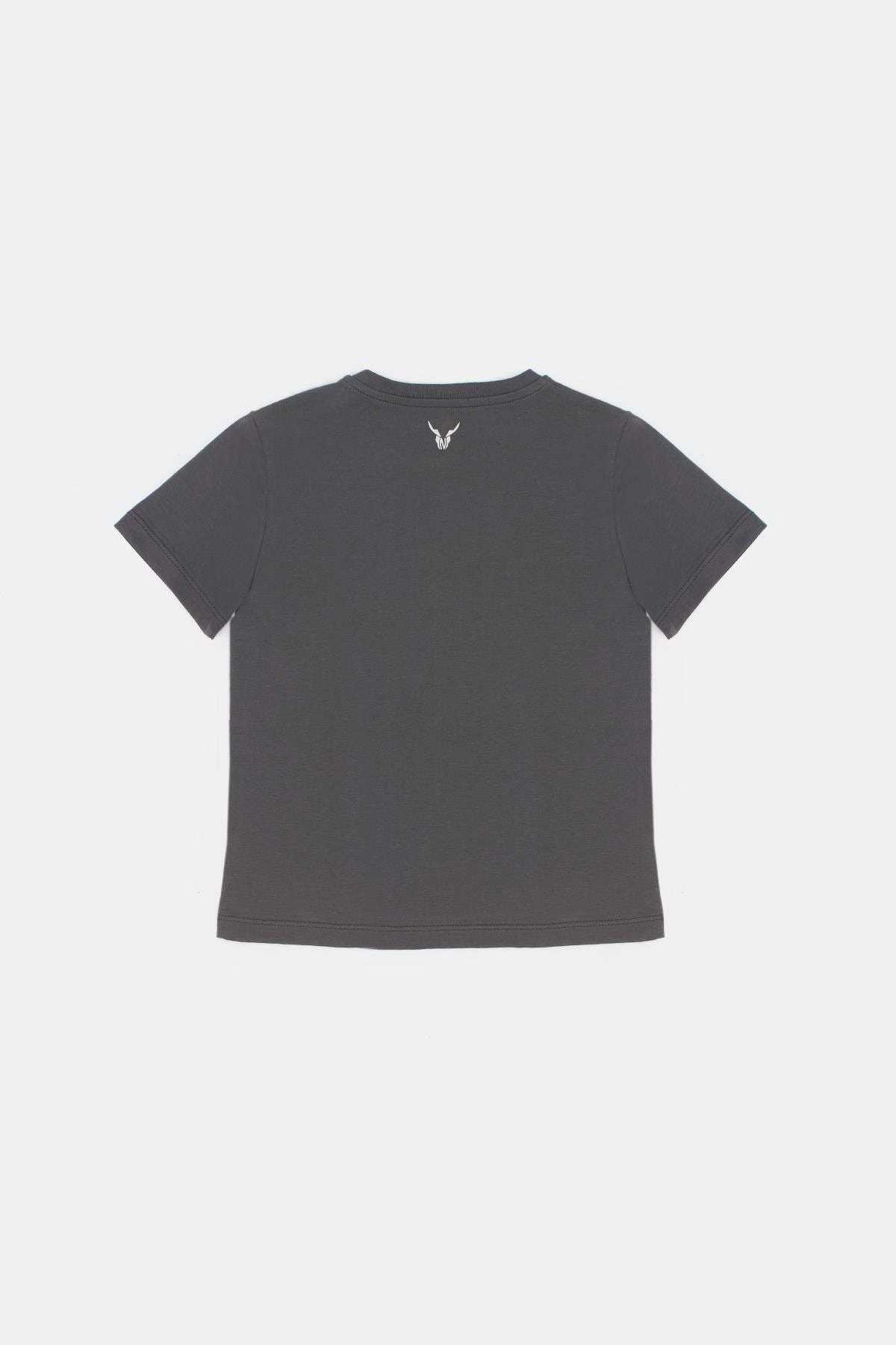 فروشگاه تی شرت پسرانه اینترنتی شیک Nebbati رنگ نقره ای کد ty94793021